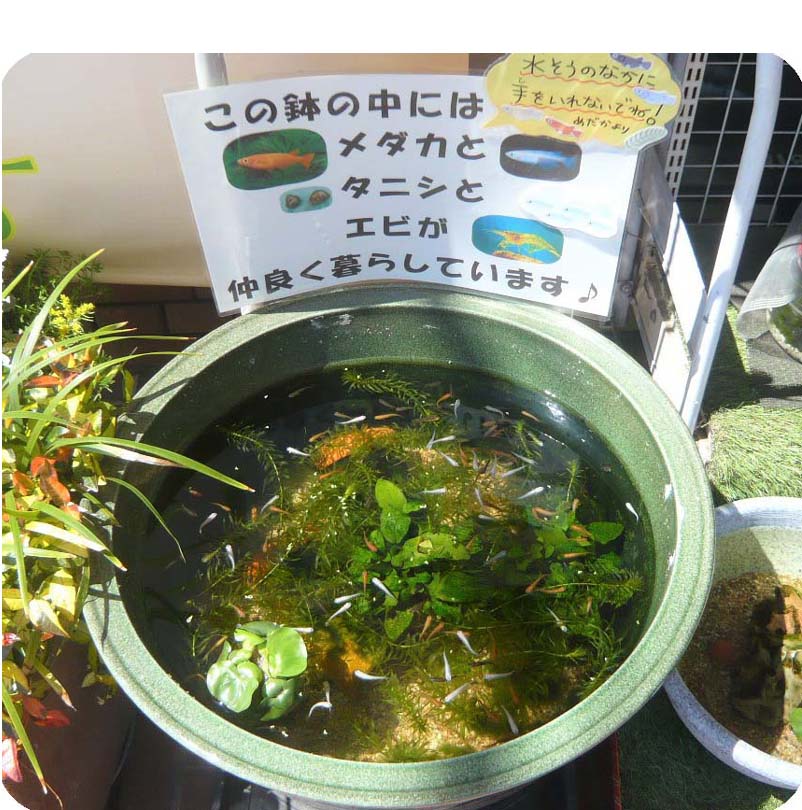 画像の説明 画像の説明
